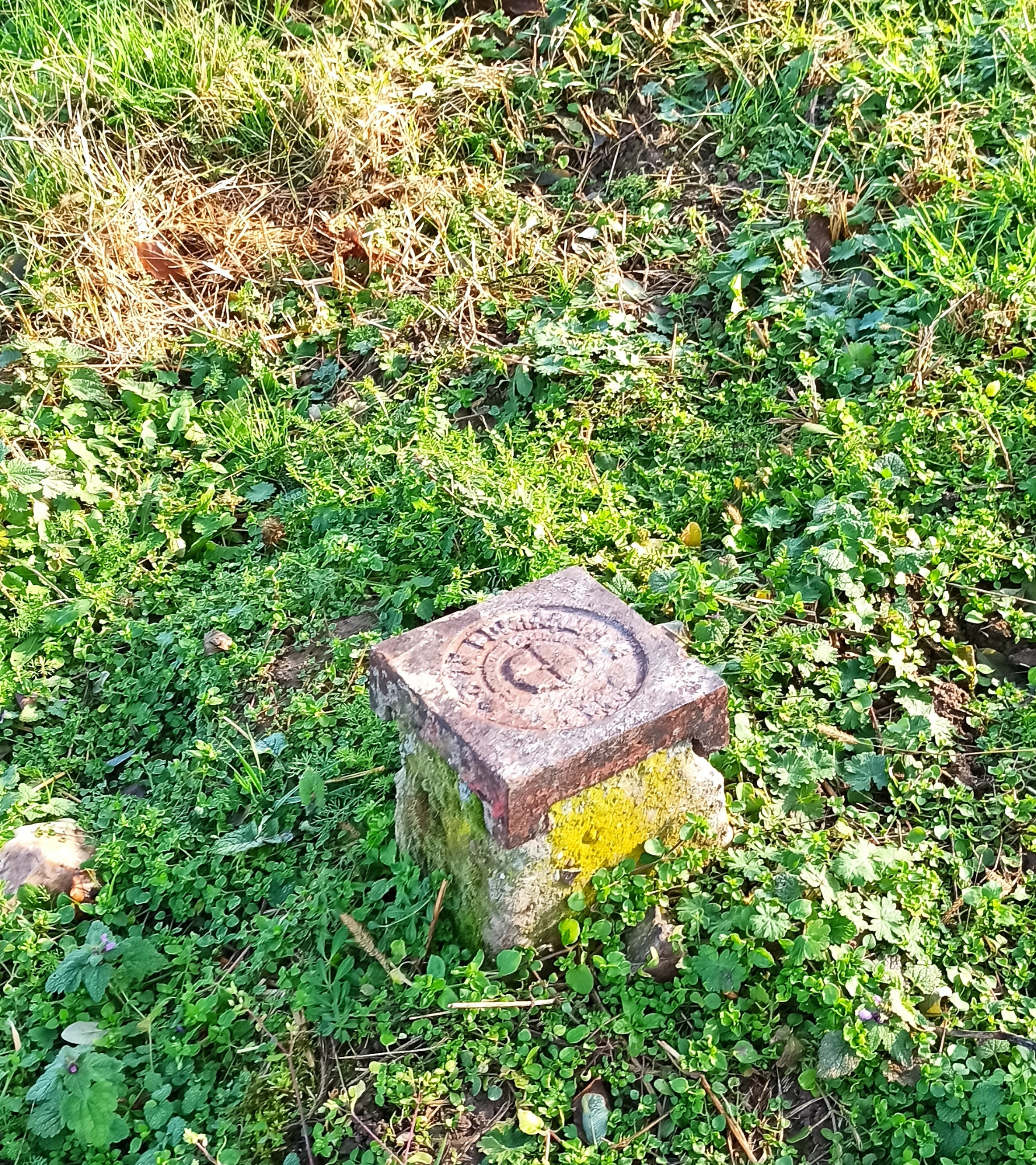 Znak graniczny w trawie, z mchem na kamieniu. Kwadratowa, kamienna konstrukcja z wygrawerowanym symbolem na tle zieleni. Element pomiarowy w naturalnym otoczeniu.