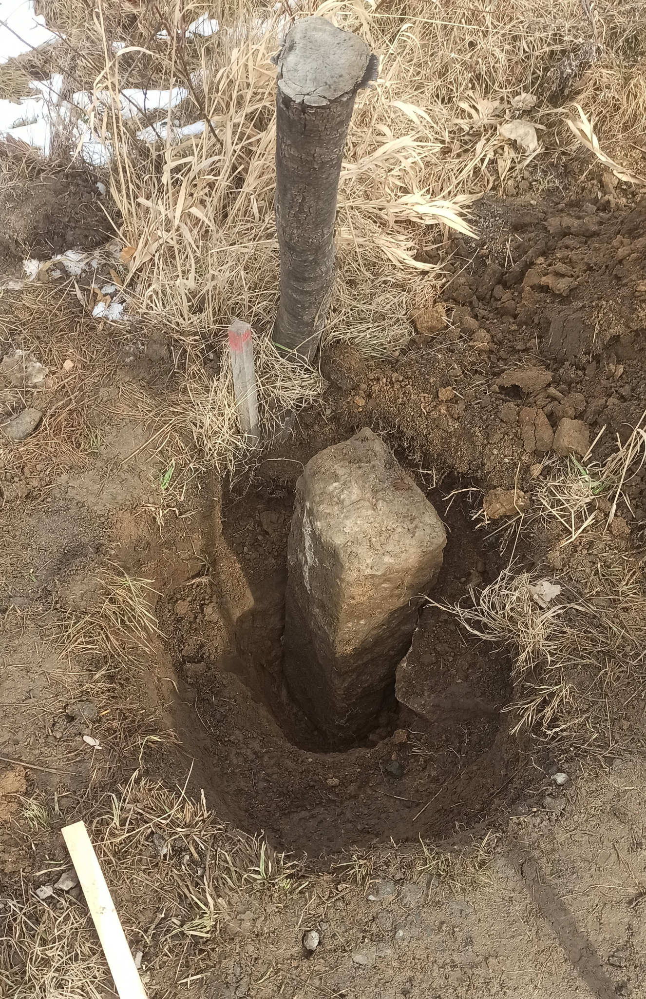 Słupek geodezyjny w wykopie, obok wbity palik z czerwoną końcówką. Otoczenie: ziemia, trawa, resztki śniegu. Prace geodezyjne w terenie.