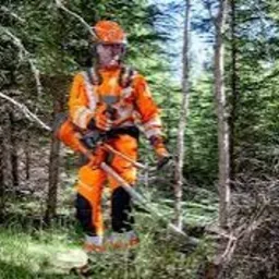 Arborysta w pomarańczowym kombinezonie, w lesie, z wykaszarką spalinową, po wycince gałęzi. Stos gałęzi po prawej stronie kadru. Ochrona słuchu.