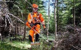 Arborysta w pomarańczowym kombinezonie, w lesie, z wykaszarką spalinową, po wycince gałęzi. Stos gałęzi po prawej stronie kadru. Ochrona słuchu.