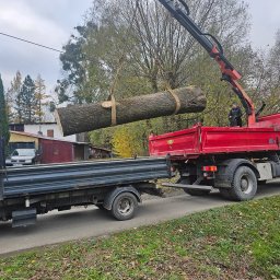 NA LINACH Krystian Kuś - Ciężarówka z dźwigiem podnosi dużą kłodę drewna, przygotowując ją do załadunku na przyczepę. Jesienna sceneria z drzewami w tle.