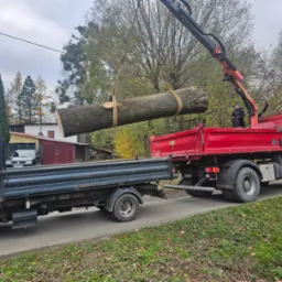 Ciężar&oacute;wka z dźwigiem podnosi dużą kłodę drewna, przygotowując ją do załadunku na przyczepę. Jesienna sceneria z drzewami w tle.