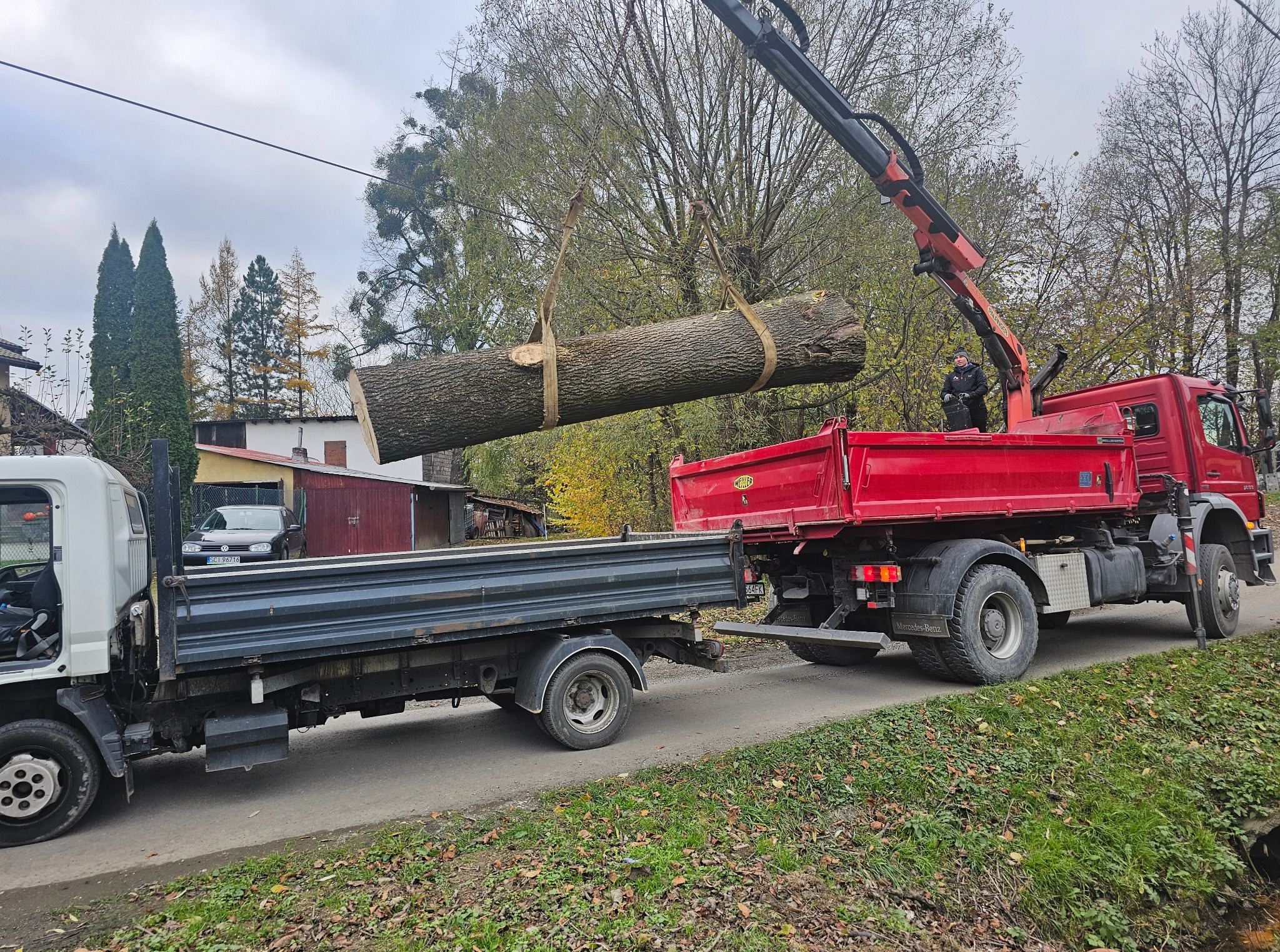 Ciężarówka z dźwigiem podnosi dużą kłodę drewna, przygotowując ją do załadunku na przyczepę. Jesienna sceneria z drzewami w tle.