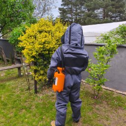 Dezynsekcja i deratyzacja Dąbrowa Górnicza 1