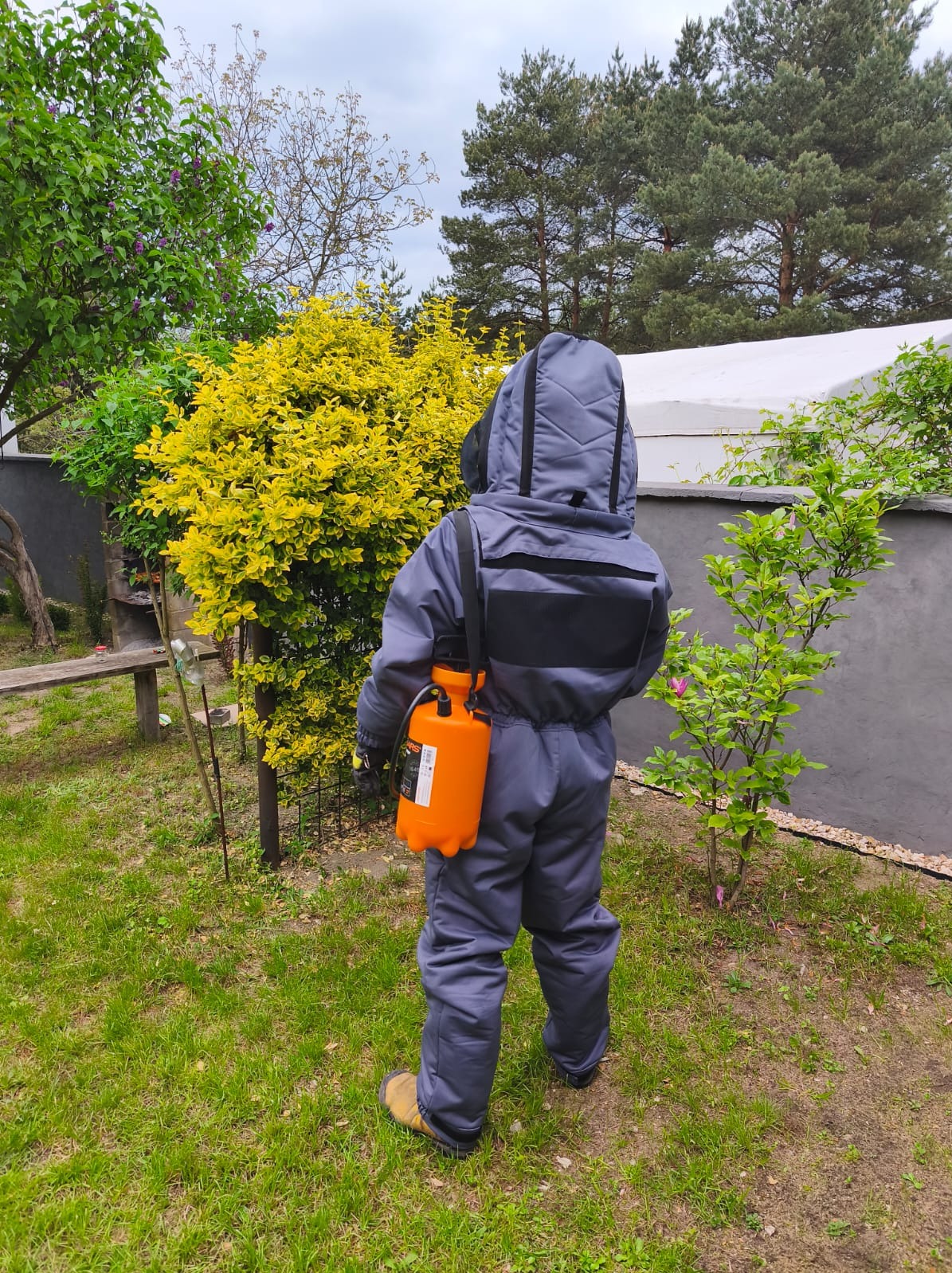 Osoba w kombinezonie ochronnym z opryskiwaczem na plecach, gotowa do pracy w ogrodzie. Widok z tyłu na tle zieleni i żółtego krzewu.