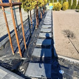 TARAS-BUD - Ścieżka z płyt betonowych w ogrodzie, czarna geowłóknina, młode drzewka z drewnianymi podporami, widoczny cień osoby, przygotowanie terenu pod nasadzenia.