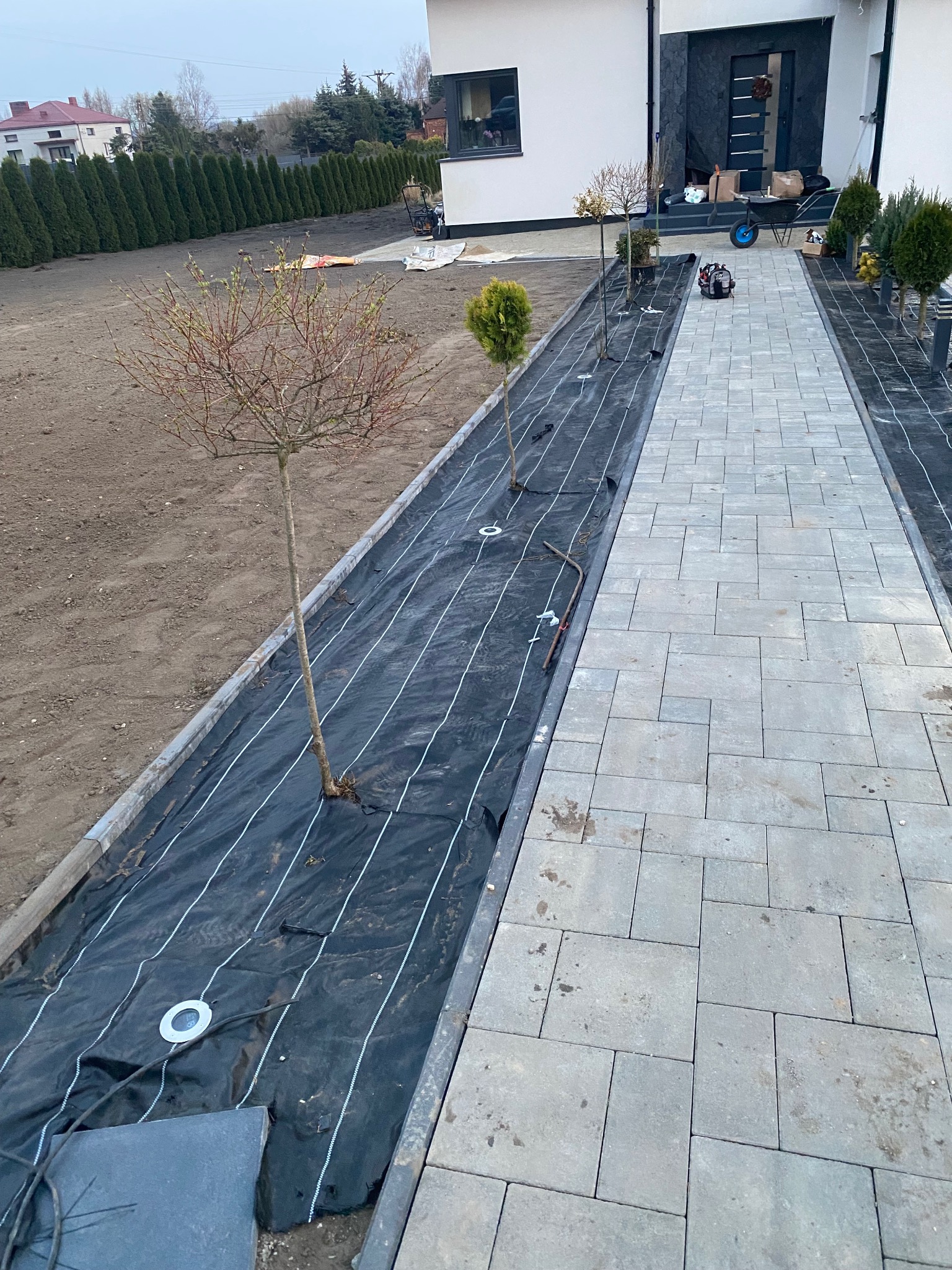 Ścieżka z kostki brukowej w ogrodzie, w trakcie prac wykończeniowych. Widoczne przygotowane podłoże z agrowłókniną i posadzone drzewka. Częściowo ułożona kostka.