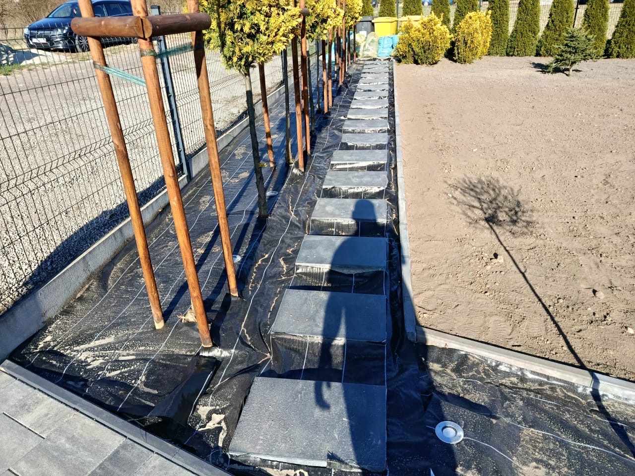 Ścieżka z płyt betonowych w ogrodzie, czarna geowłóknina, młode drzewka z drewnianymi podporami, widoczny cień osoby, przygotowanie terenu pod nasadzenia.