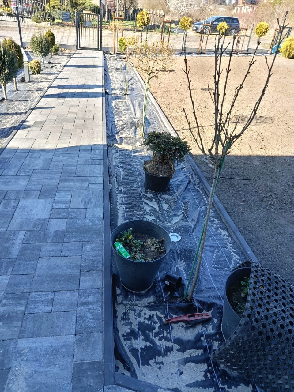 Ułożona kostka brukowa obok przygotowanego terenu z agrowłókniną i roślinami w donicach. Widoczny poziomica i drobne narzędzia.