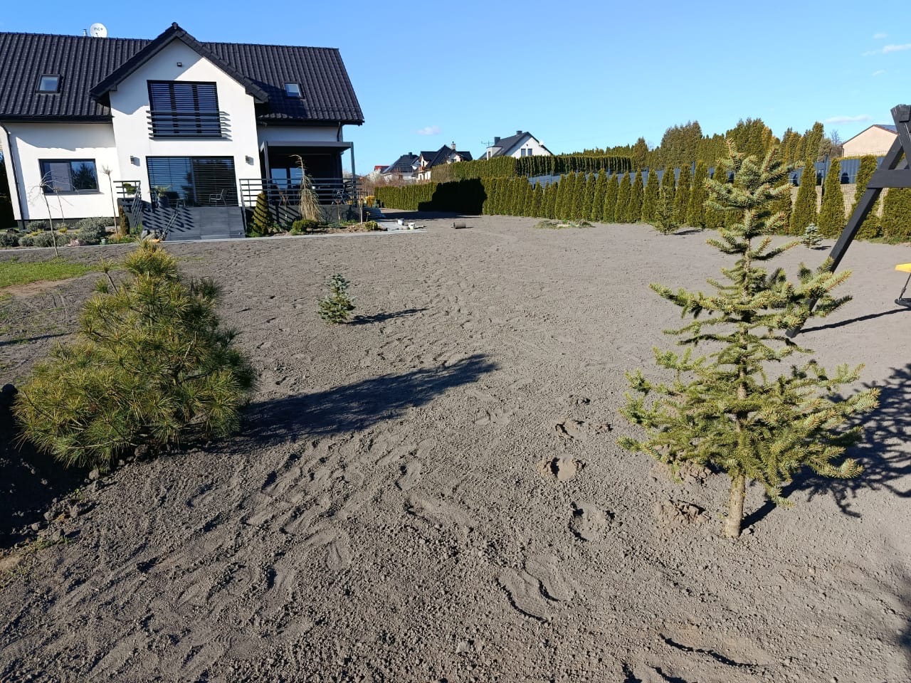 Przygotowany teren pod trawnik z nasadzeniami drzewek iglastych w Zawierciu. W tle nowoczesny dom z balkonem i rząd tuj.