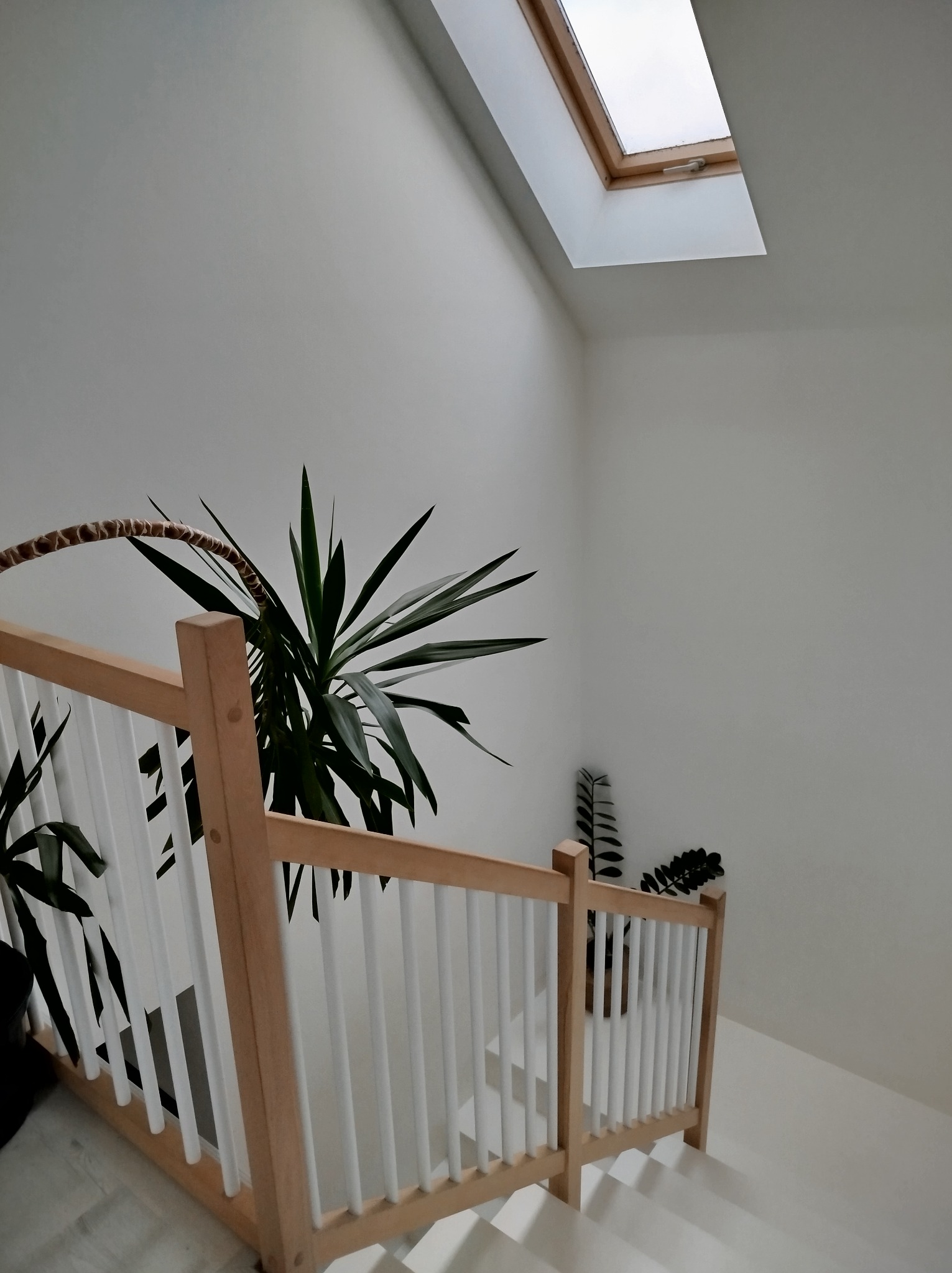 Jasne wnętrze z drewnianymi schodami i białymi balustradami, oświetlone światłem z okna dachowego, z zielonymi roślinami doniczkowymi. Minimalistyczny design.