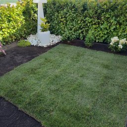 Wycinka drzew Gdynia 1