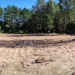 JORDA - Kompleksowe Usługi Ogrodnicze - Panoramiczny widok na teren po niwelacji, z widocznymi pozostałościami po wycince drzew i małym drewnianym budynkiem w tle, przy słonecznej pogodzie.