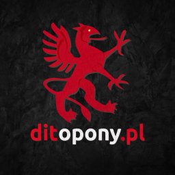 ditopony.pl Marcin Budzeń - Usługi Transportowe Słupsk