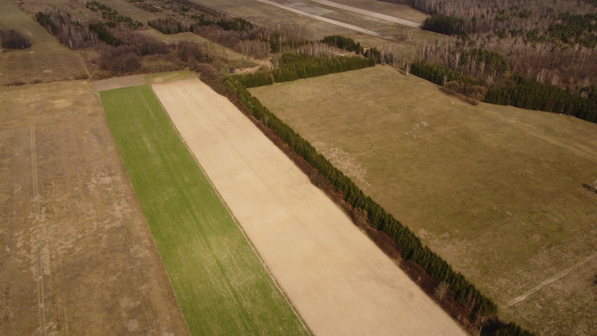 Szeroki kadr z lotu ptaka na pola uprawne w różnych kolorach, oddzielone szpalerem drzew, z lasem w tle. Ujęcie ukazuje zróżnicowanie terenu.