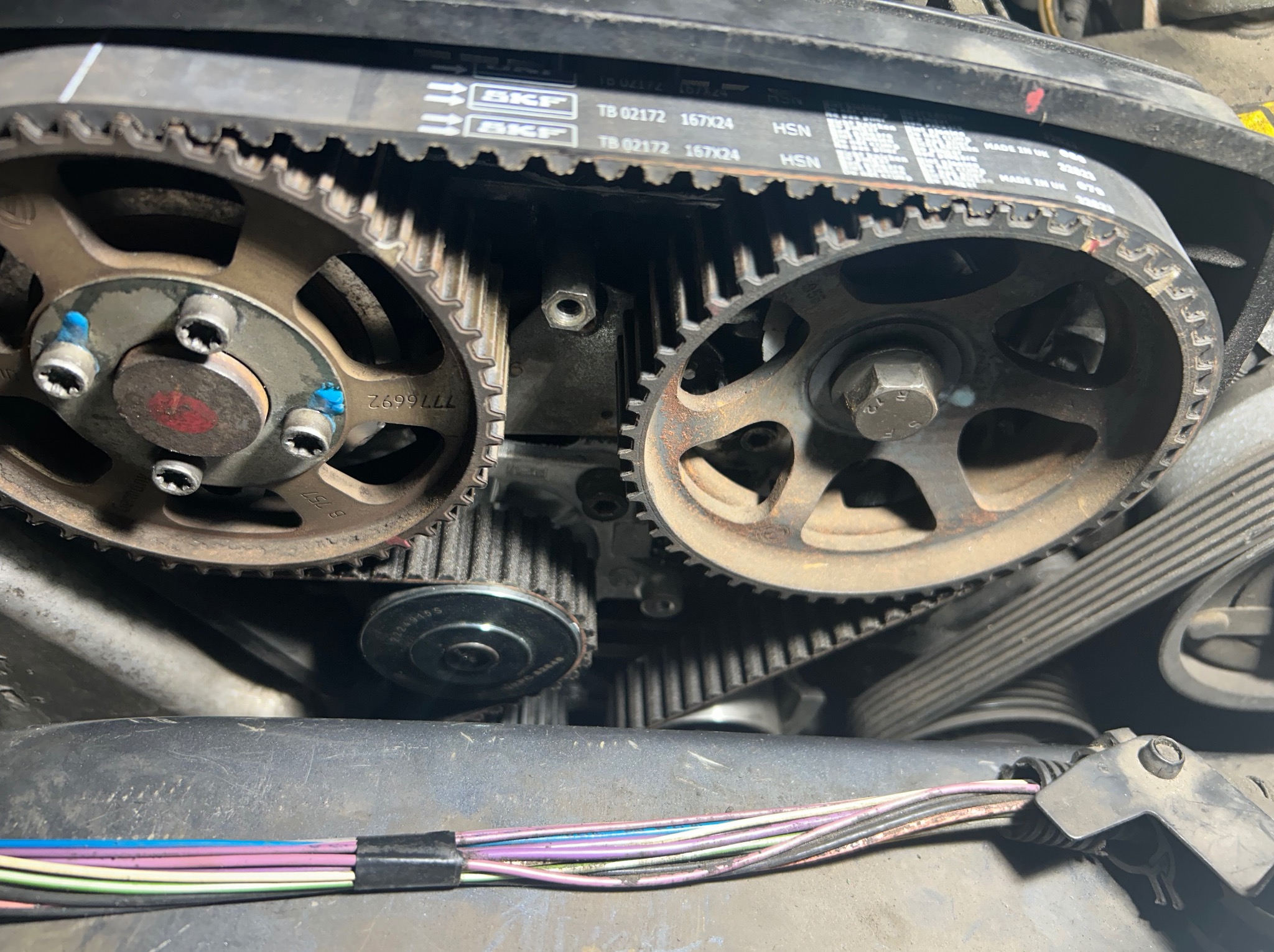 Silnik samochodowy z widocznym paskiem rozrządu marki SKF, kołami zębatymi i przewodami elektrycznymi. Detal z warsztatu, naprawa w toku.