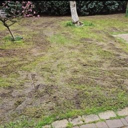 Rekultywacja trawnika