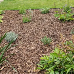 Rabata z korą i różnorodnymi roślinami w ogrodzie. Widoczne zielone liście, fioletowe kwiaty i brązowa kora. Całość otoczona czarną obwódką.