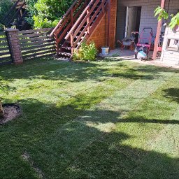 Trawa z rolki Wrocław 1