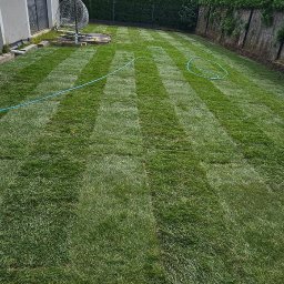 TrawnikON - Świeżo skoszony trawnik z wyraźnymi pasami, obok domu z szarą elewacją i ozdobnym fotelem wiszącym. W tle żywopłot i drzewa pod pochmurnym niebem.