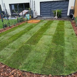 TrawnikON - Świeżo ułożona darń w pasy na posesji z nowoczesnym domem. Widoczne obrzeża rabat wysypane korą, siatka ogrodzeniowa i młode rośliny wzdłuż płotu.