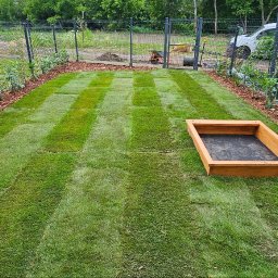 TrawnikON - Świeżo ułożona trawa z rolki w ogrodzie, widoczne pasy po wałowaniu, obrzeża z kory, w tle ogrodzenie z siatki i częściowo widoczny samochód dostawczy.