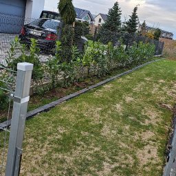 TrawnikON - Widok na ogród z młodymi krzewami wzdłuż ogrodzenia, trawnik z widocznym piaskiem, nowoczesny dom w tle i fragment metalowego ogrodzenia na pierwszym planie.