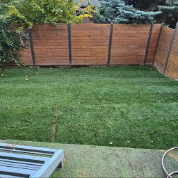 TrawnikON - Świeżo ułożona trawa z rolki w ogrodzie, widoczne łączenia między pasami, drewniane ogrodzenie z metalowymi elementami, narzędzia ogrodnicze w rogu.