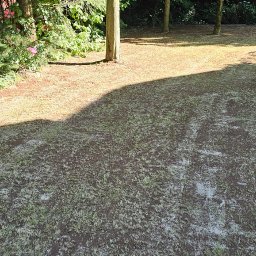 TrawnikON - Zakładanie trawnik&oacute;w Wrocław