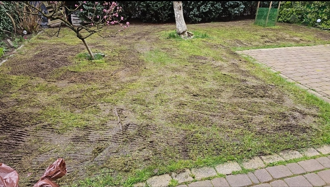 Rekultywacja trawnika