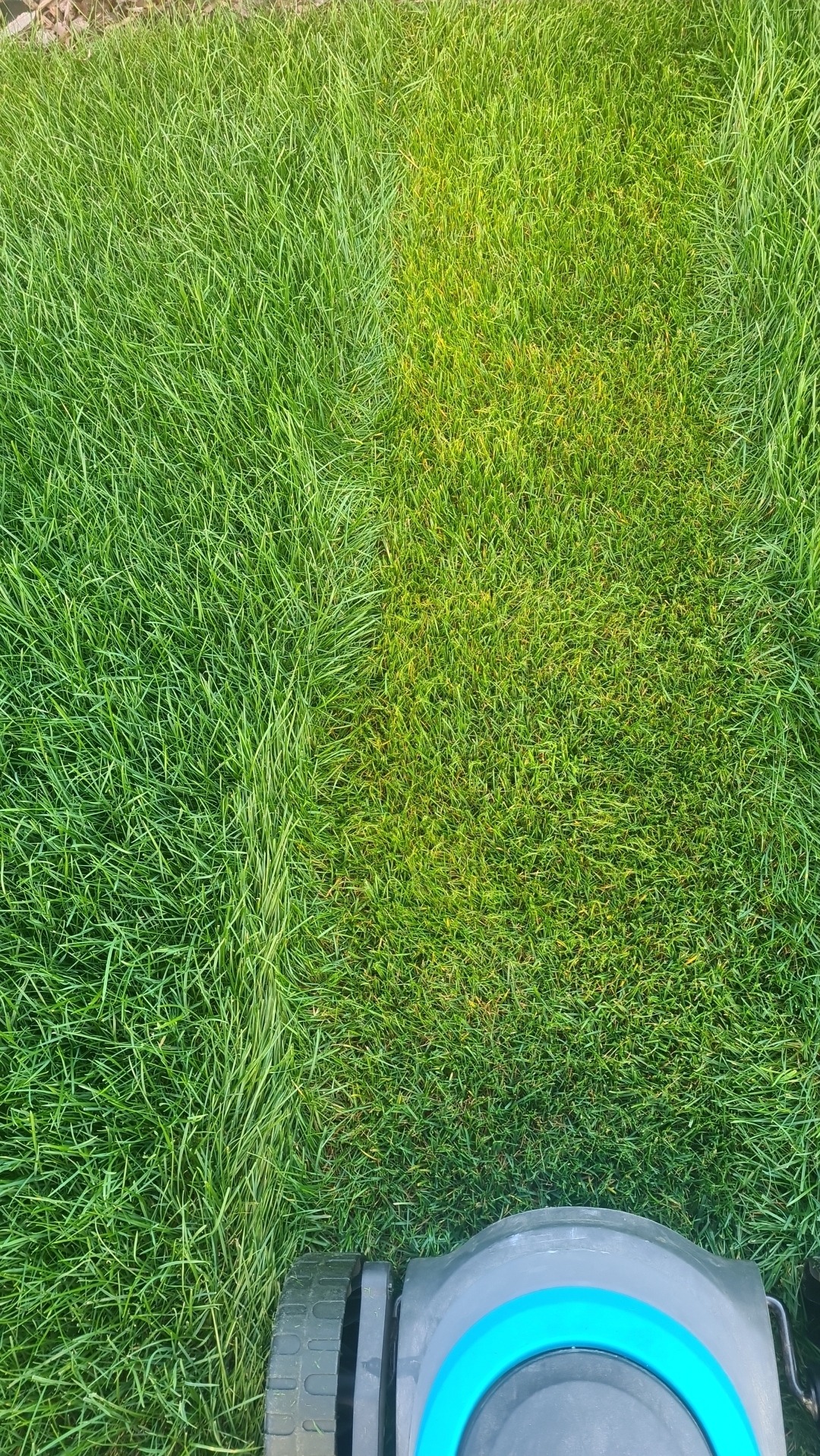 Kosiarka częściowo widoczna na tle trawnika z wyraźną różnicą wysokości trawy, ukazując efekt koszenia. Widok z góry, ostre światło.