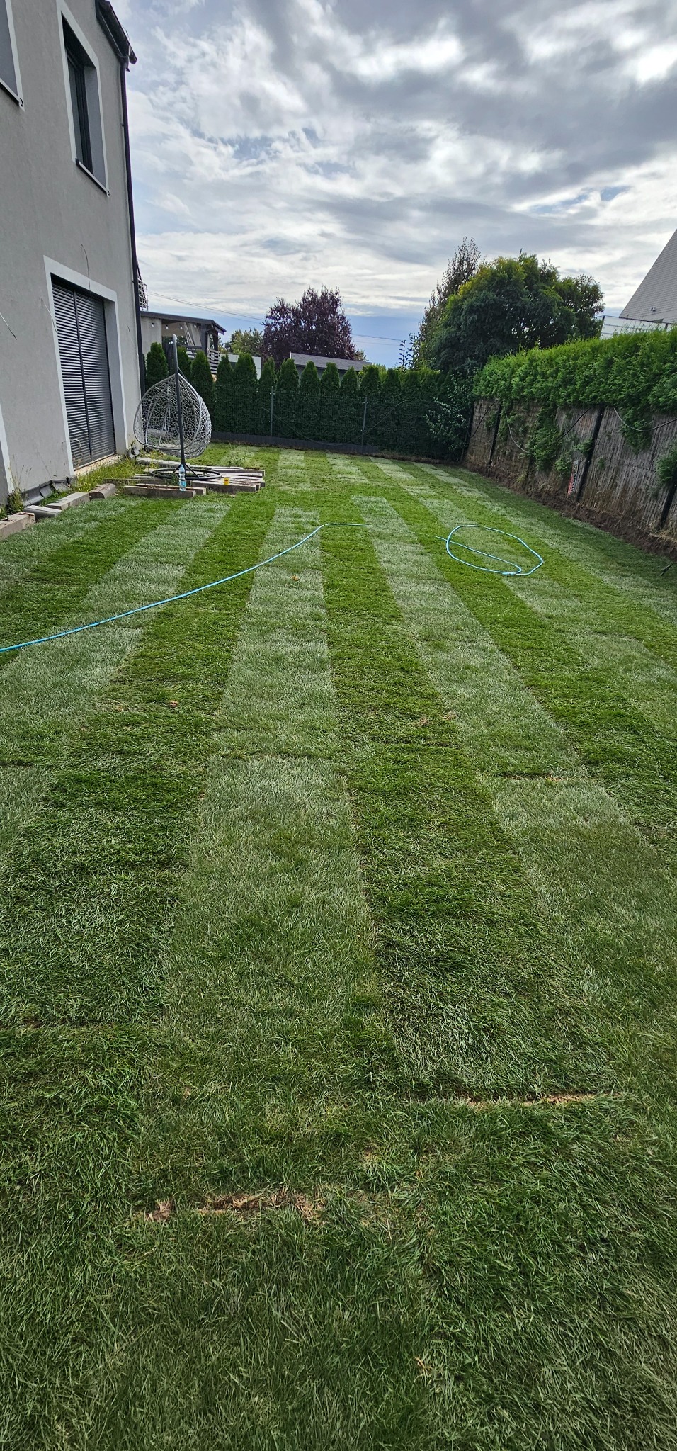 Świeżo skoszony trawnik z wyraźnymi pasami, obok domu z szarą elewacją i ozdobnym fotelem wiszącym. W tle żywopłot i drzewa pod pochmurnym niebem.