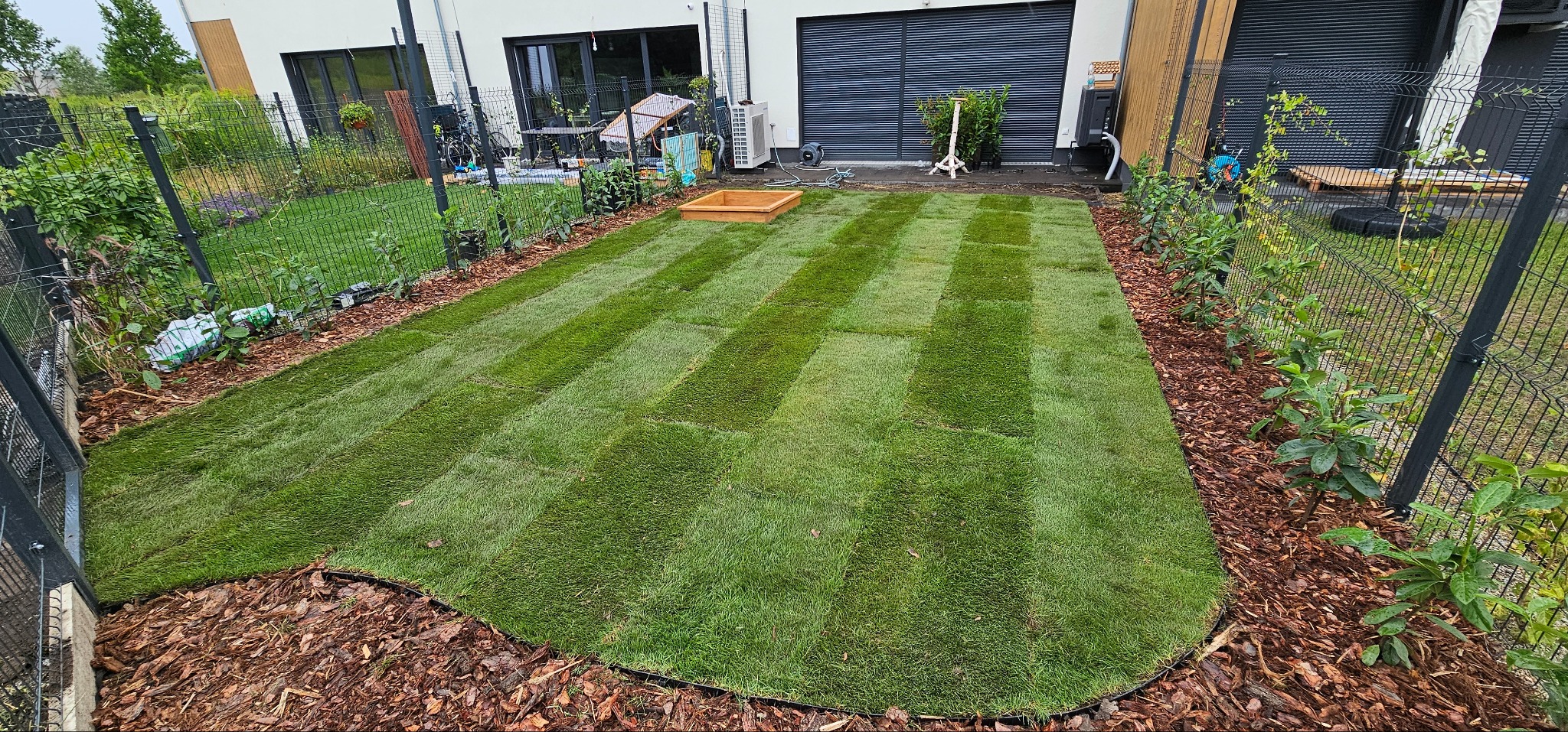 Świeżo ułożona darń w pasy na posesji z nowoczesnym domem. Widoczne obrzeża rabat wysypane korą, siatka ogrodzeniowa i młode rośliny wzdłuż płotu.
