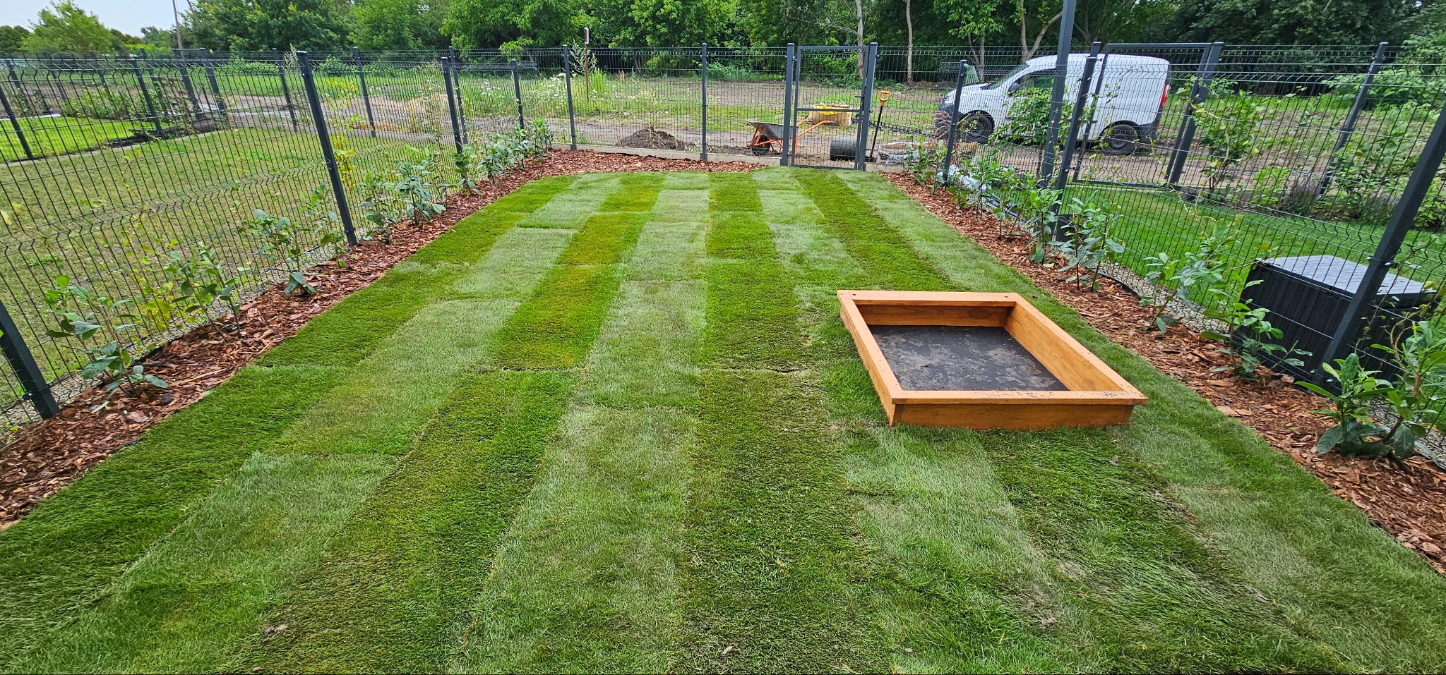 Świeżo ułożona trawa z rolki w ogrodzie, widoczne pasy po wałowaniu, obrzeża z kory, w tle ogrodzenie z siatki i częściowo widoczny samochód dostawczy.