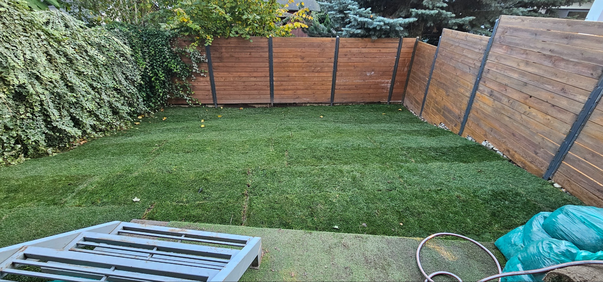 Świeżo ułożona trawa z rolki w ogrodzie, widoczne łączenia między pasami, drewniane ogrodzenie z metalowymi elementami, narzędzia ogrodnicze w rogu.