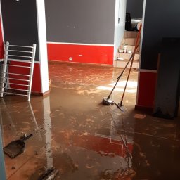 Artur Delinowski pigments Painting - Najlepsze Malowanie Fasady Prudnik