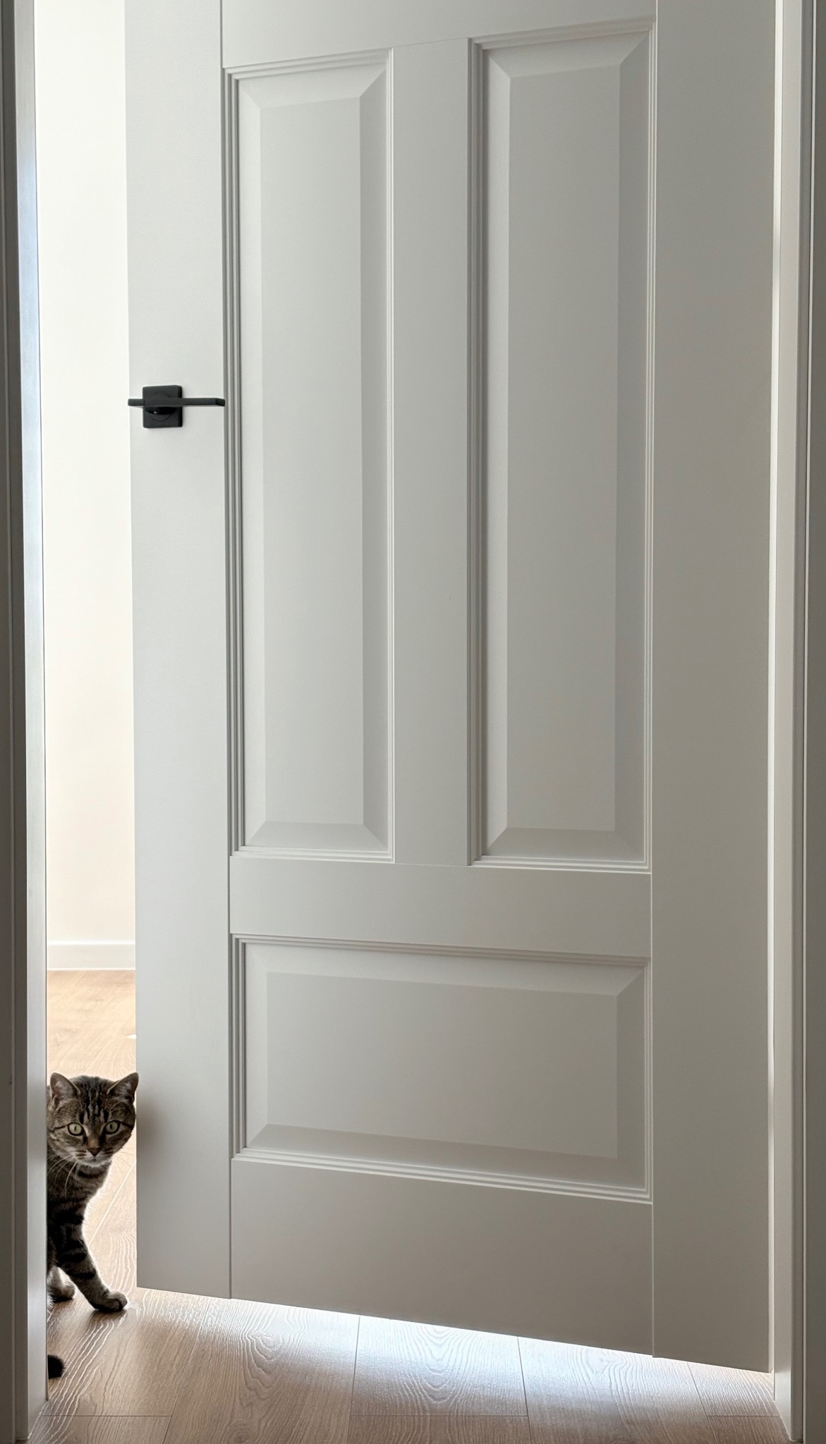 Białe, panelowe drzwi wewnętrzne, uchylone, z czarną klamką. Zza szpary zerka ciekawski, pręgowany kot. Parkiet na podłodze, jasne pomieszczenie w tle.