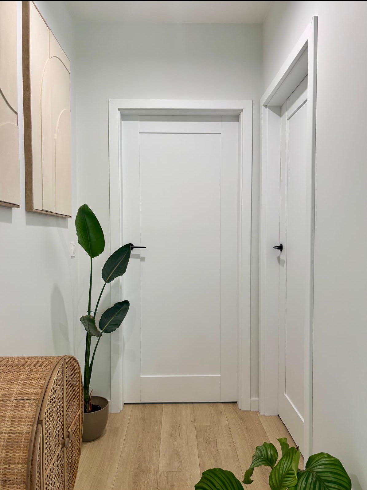 Minimalistyczne wnętrze: białe drzwi z czarną klamką, roślina doniczkowa i rattanowa komoda na jasnej podłodze. Nowoczesny design.