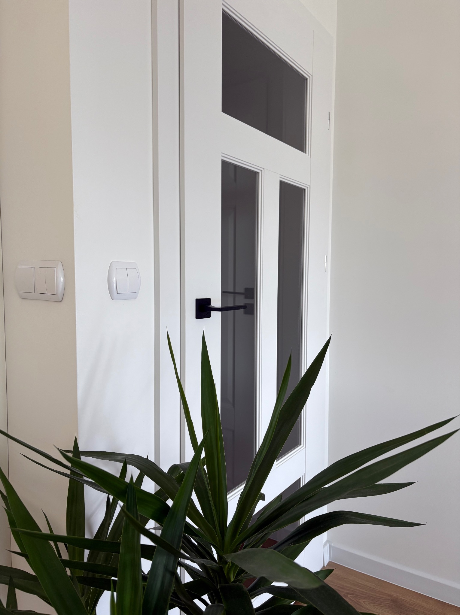 Białe, przeszklone skrzydło z czarną klamką w minimalistycznym wnętrzu. Widoczne włączniki światła i roślina doniczkowa. Parkiet na podłodze.