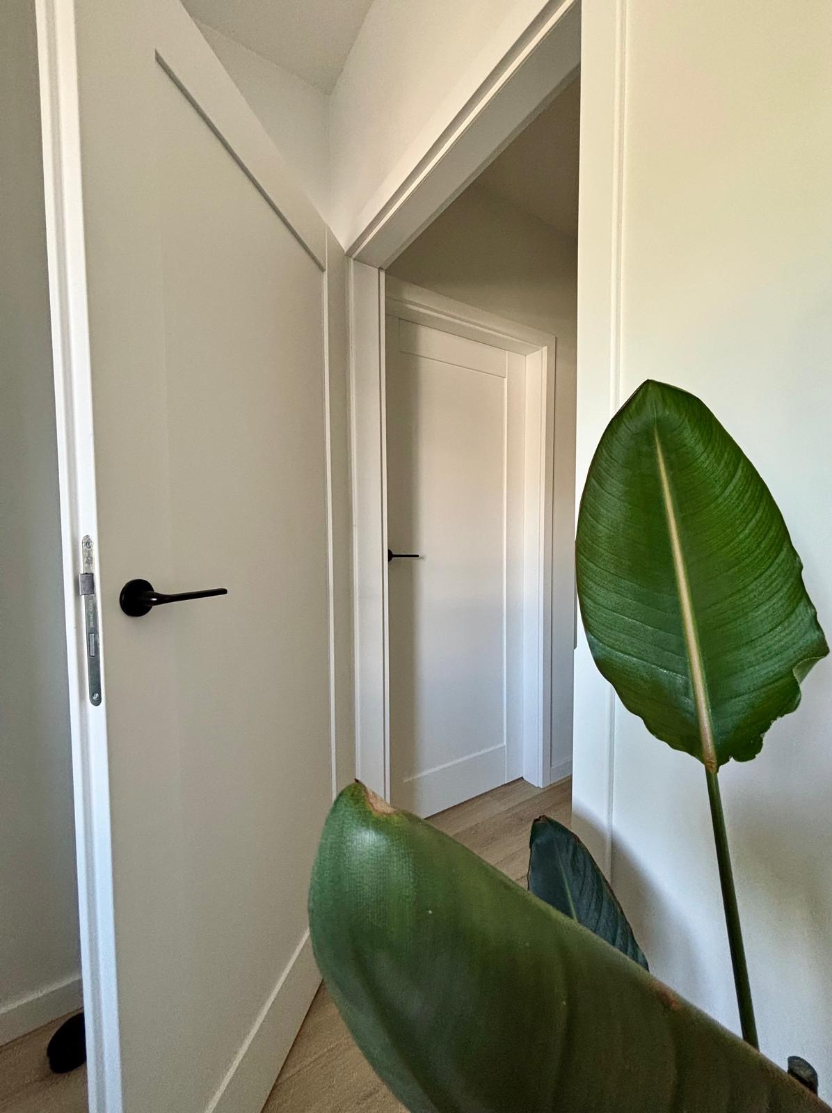 Białe drzwi wewnętrzne z czarną klamką, widoczne w perspektywie otwartego przejścia. Drugie drzwi w głębi. W kadrze liść rośliny doniczkowej.