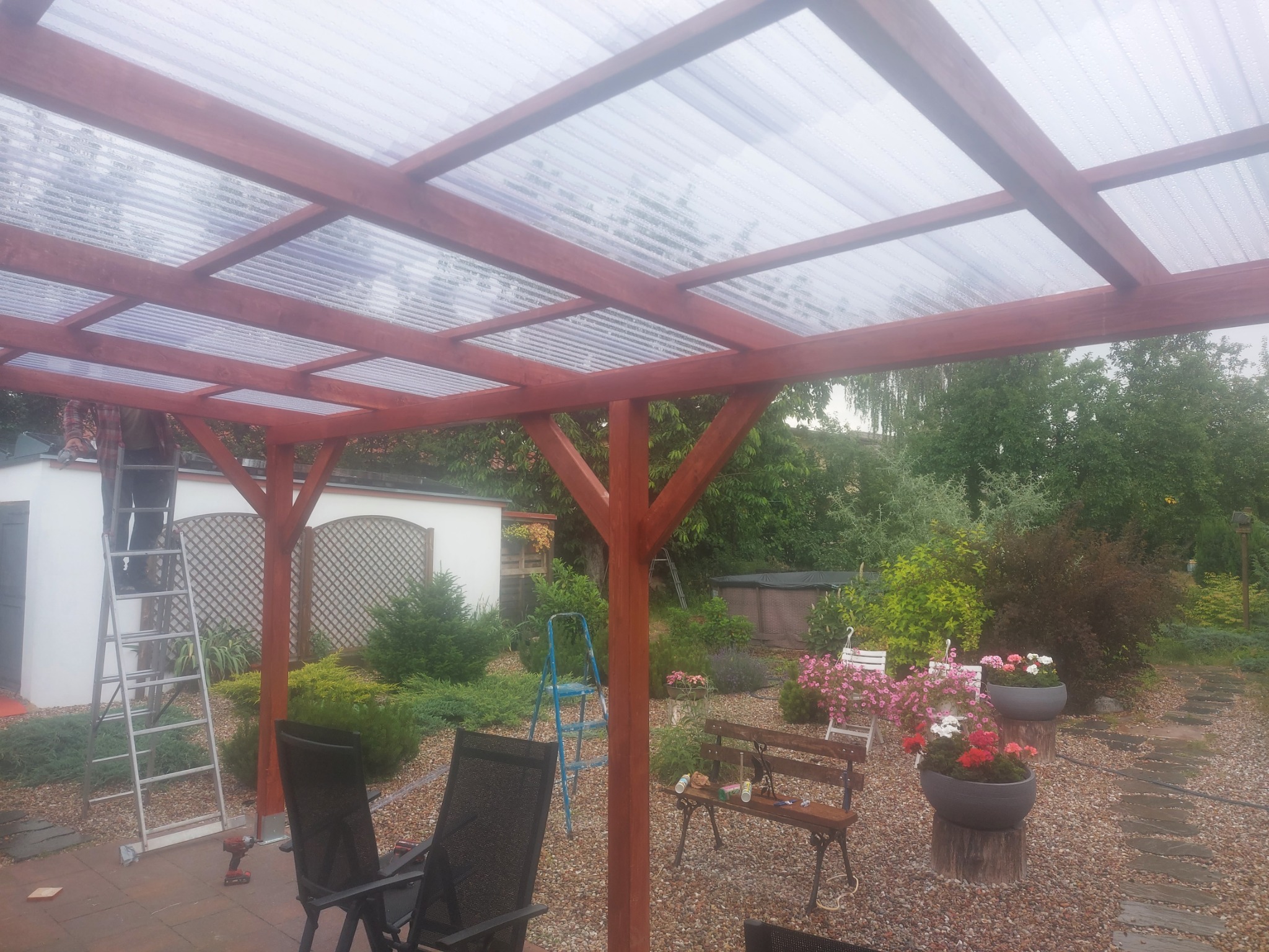 Drewniana pergola z przezroczystym zadaszeniem w ogrodzie, drabina oparta o konstrukcję, narzędzia, roślinność w tle, widok z dołu na zadaszenie.