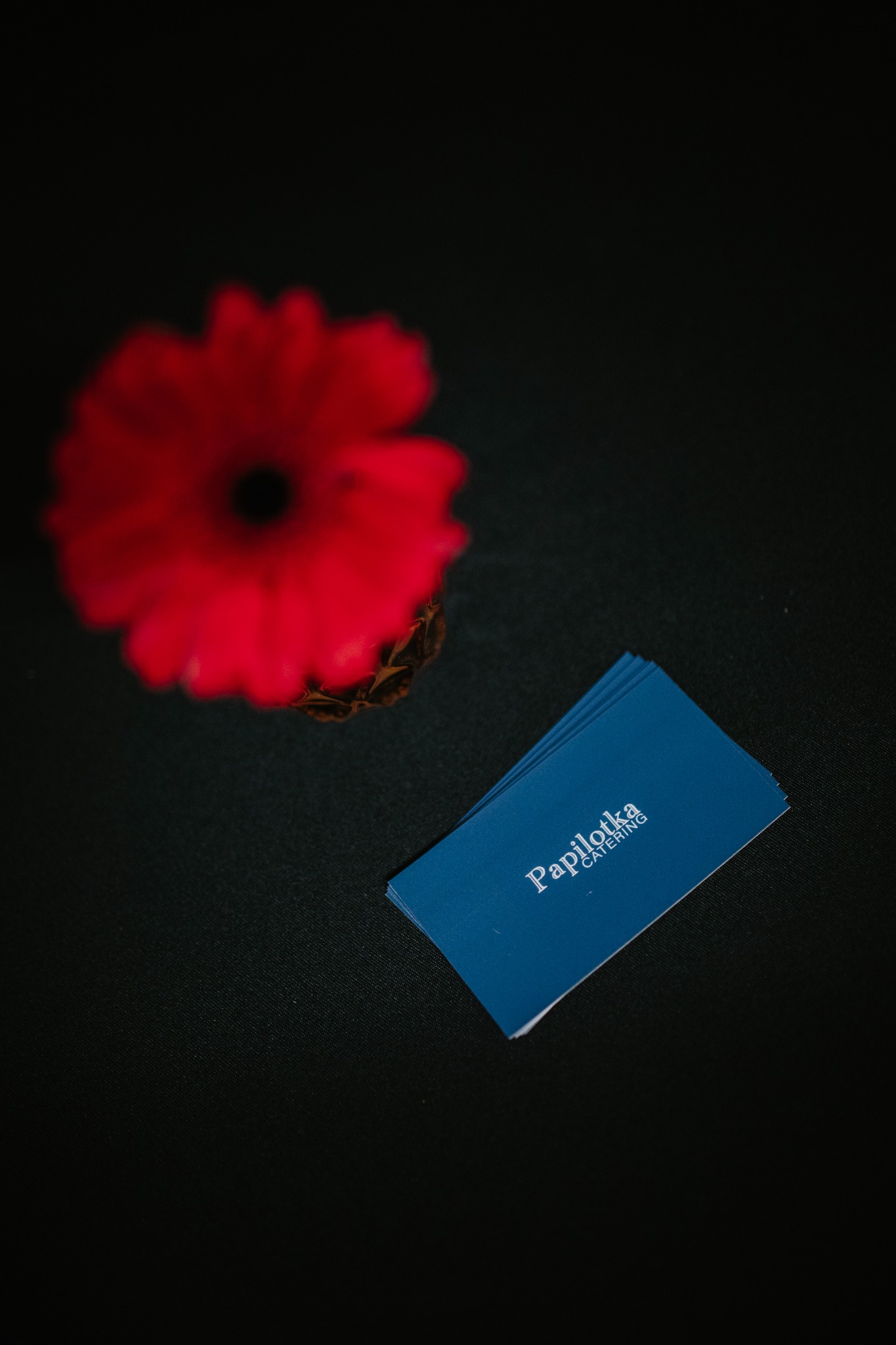 Winietki cateringowe w odcieniach błękitu z nazwą firmy, obok czerwony kwiat na ciemnym tle. Minimalistyczna prezentacja oferty cateringowej.