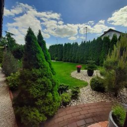 Sylwester Zdych - Roboty Ziemne Łódź