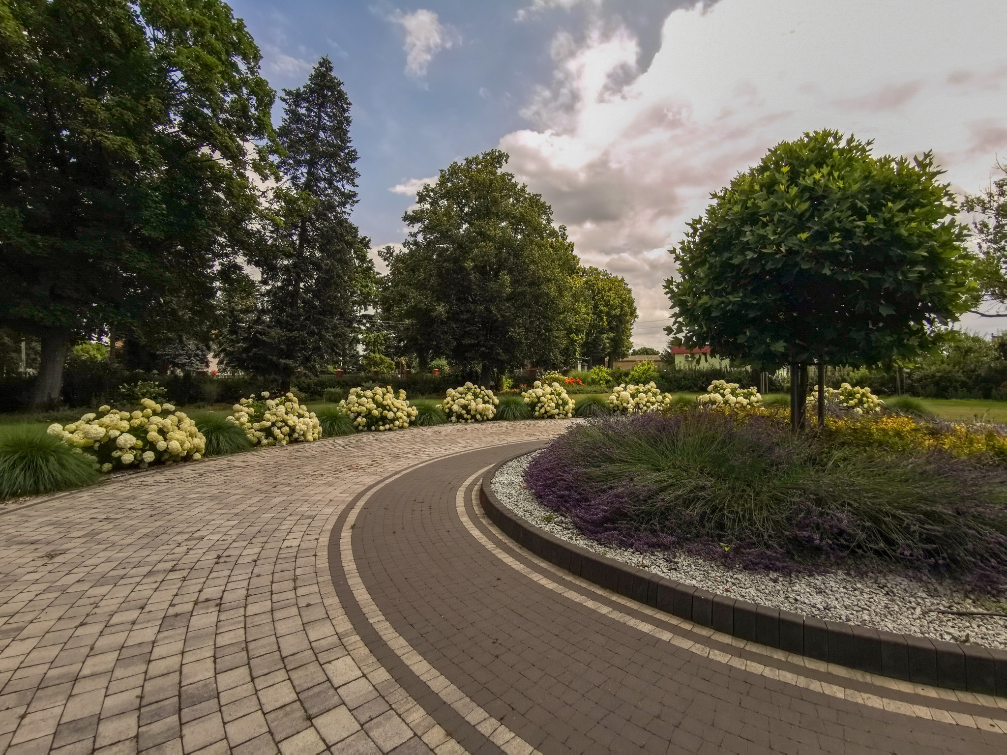 Kręta ścieżka z kostki brukowej otoczona rabatami z hortensjami i ozdobnymi trawami, prowadząca przez zadbany ogród z drzewami.