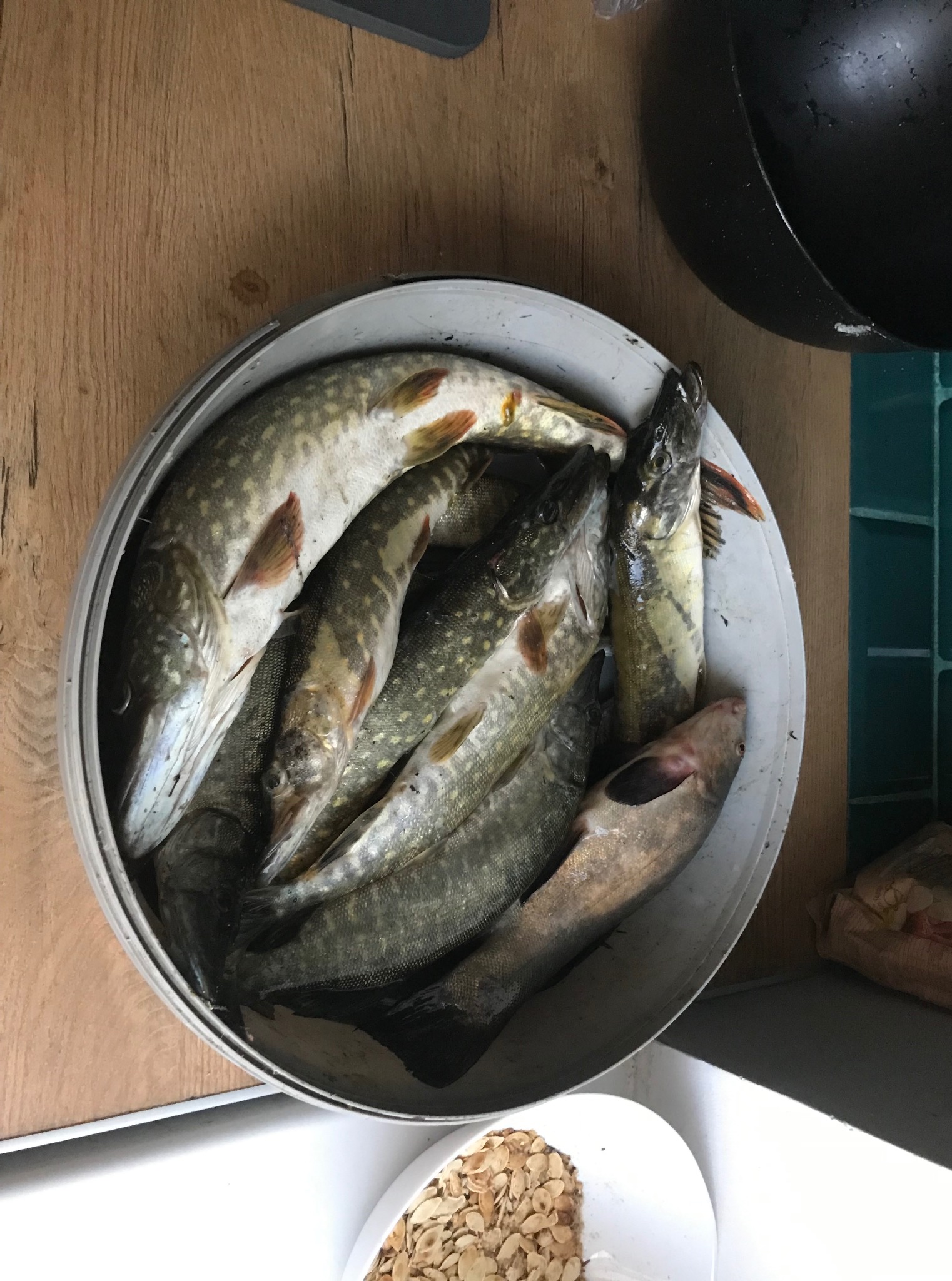 Srebrny garnek wypełniony świeżymi, złowionymi szczupakami, leżący na drewnianym blacie kuchennym obok talerza z łuskanymi migdałami.