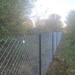 Montaz ogrodzeń Tomasz Gutowski - Długa siatka ogrodzeniowa z czarnymi słupkami, biegnąca wzdłuż zarośniętego terenu. Widok z boku, perspektywa zbieżna, drzewa w tle.