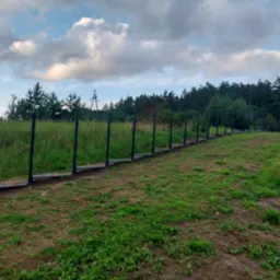 Nowoczesne, czarne ogrodzenie panelowe na nierównym terenie, z widokiem na las i pochmurne niebo. Słupy osadzone na betonowej podmurówce.