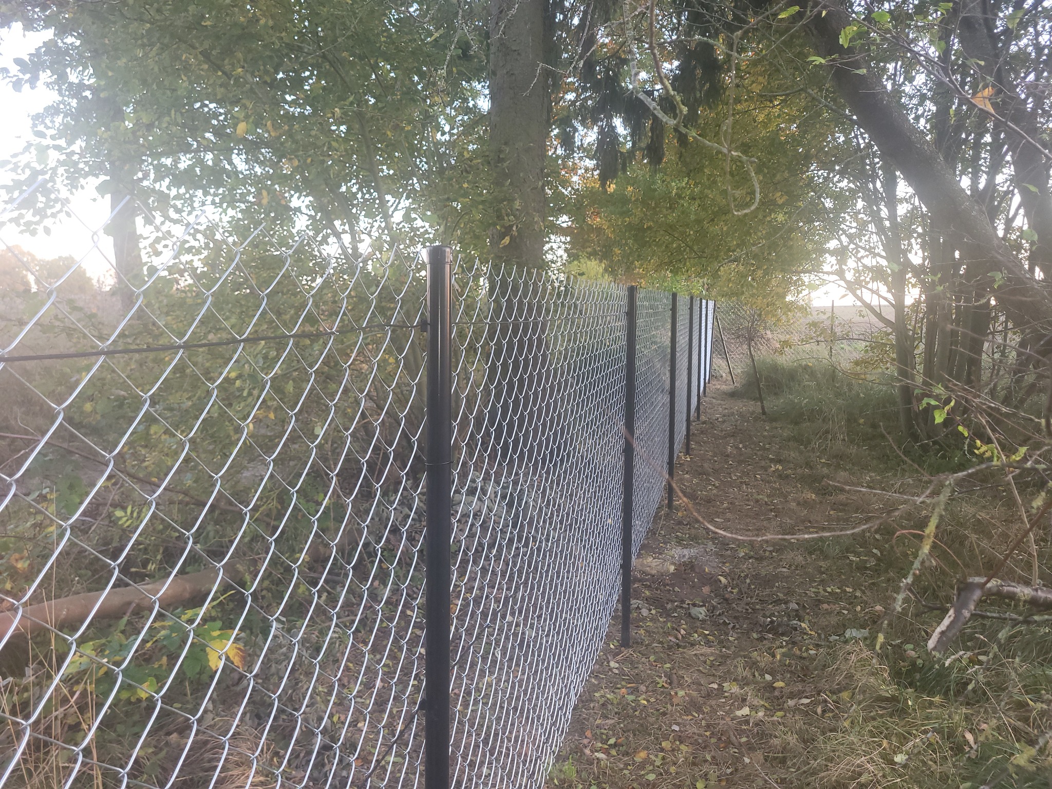 Długa siatka ogrodzeniowa z czarnymi słupkami, ciągnąca się wzdłuż granicy działki z drzewami w tle, w jesiennej scenerii.