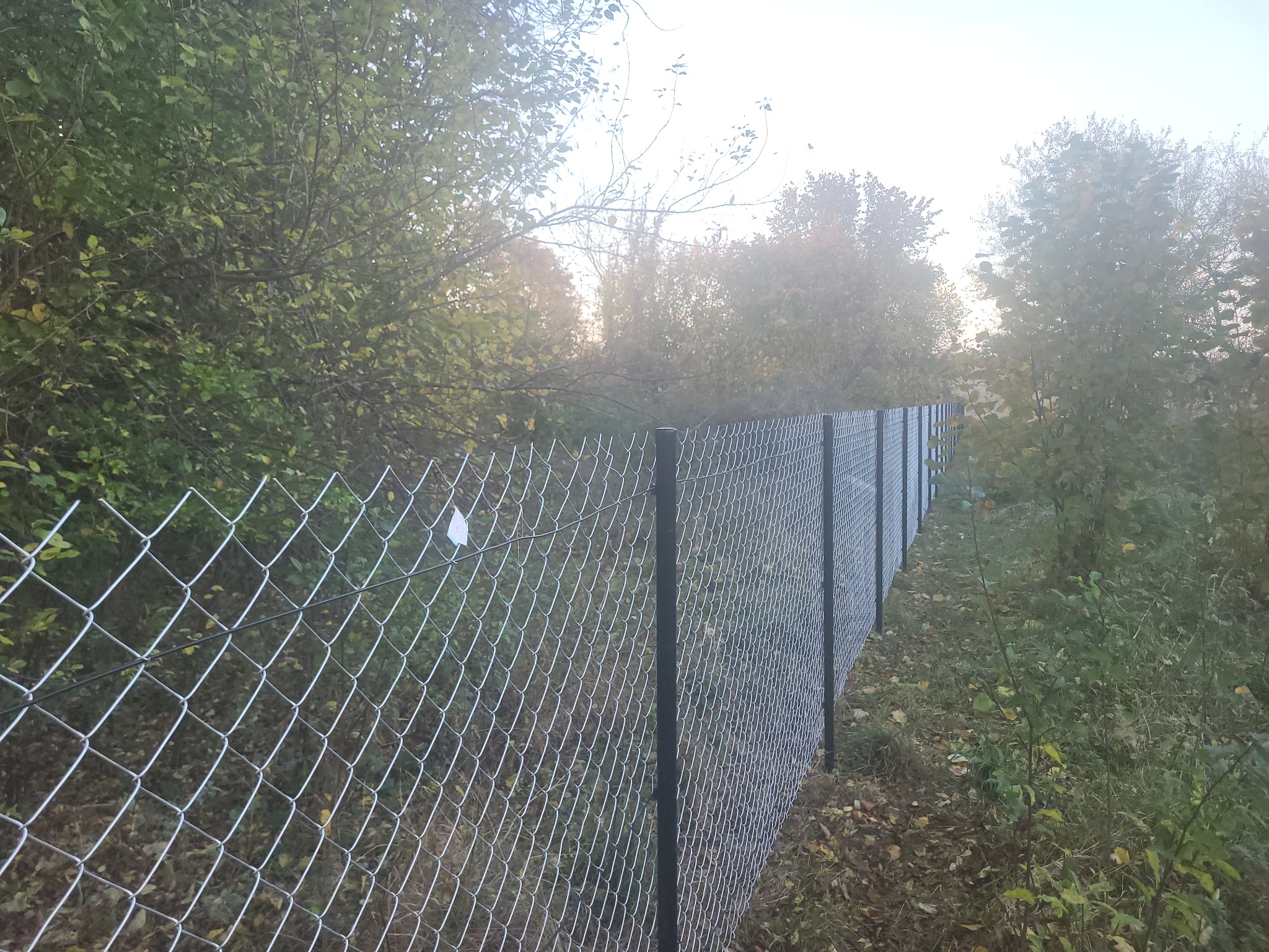 Długa siatka ogrodzeniowa z czarnymi słupkami, biegnąca wzdłuż zarośniętego terenu. Widok z boku, perspektywa zbieżna, drzewa w tle.