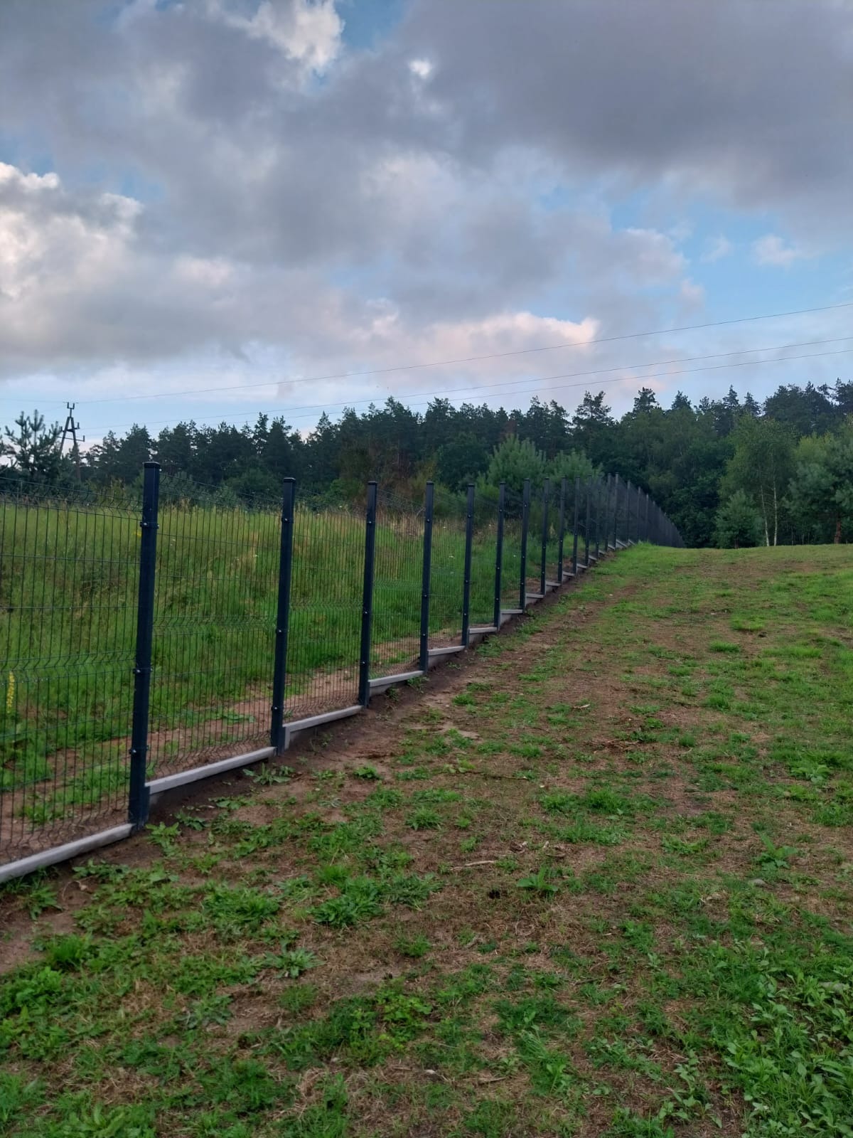 Długi, ciemny panel ogrodzeniowy z betonową podmurówką, biegnący wzdłuż zbocza porośniętego trawą, z lasem w tle i pochmurnym niebem.